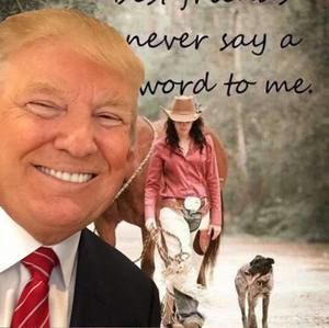 Meet your Posher, Jenny